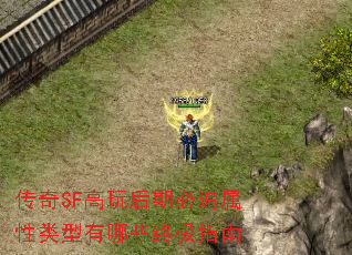 传奇SF高玩后期必追属性类型有哪些终极指南 传奇SF高玩后期必追属性类型有哪些终极指南