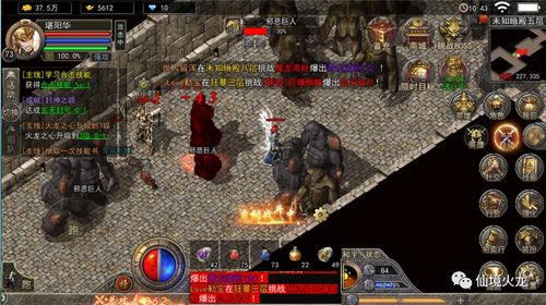 变态传奇sf,极致游戏体验与风险解析-全面指南 什么是变态传奇sf及其起源