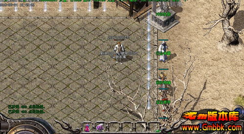 传奇私服架设,从零开始搭建游戏服务器的完整指南