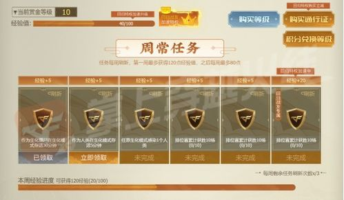 新开传奇发布网,游戏资讯与服务器信息权威平台-全面解析