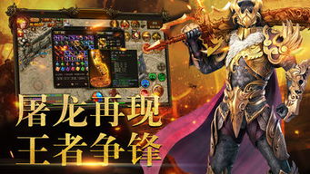 新开天堂私服的定义与特点