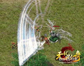 新开网通传奇发布网概述