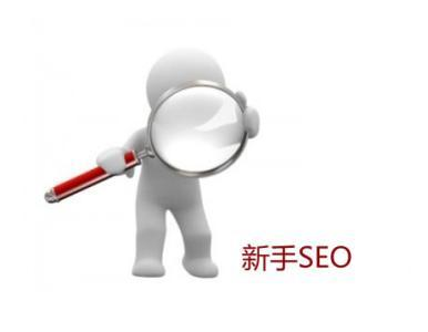 搜索引擎优化(SEO),提升网站排名-策略与实践