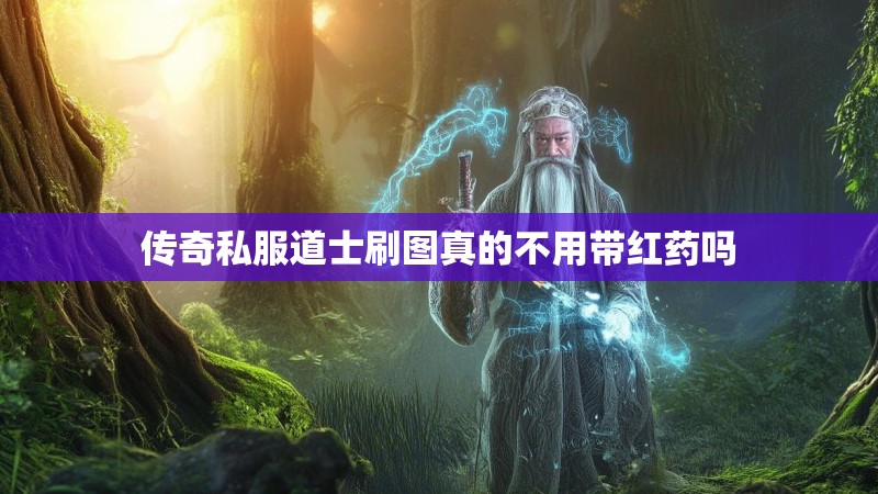 传奇私服道士刷图真的不用带红药吗 传奇私服道士刷图真的不用带红药吗