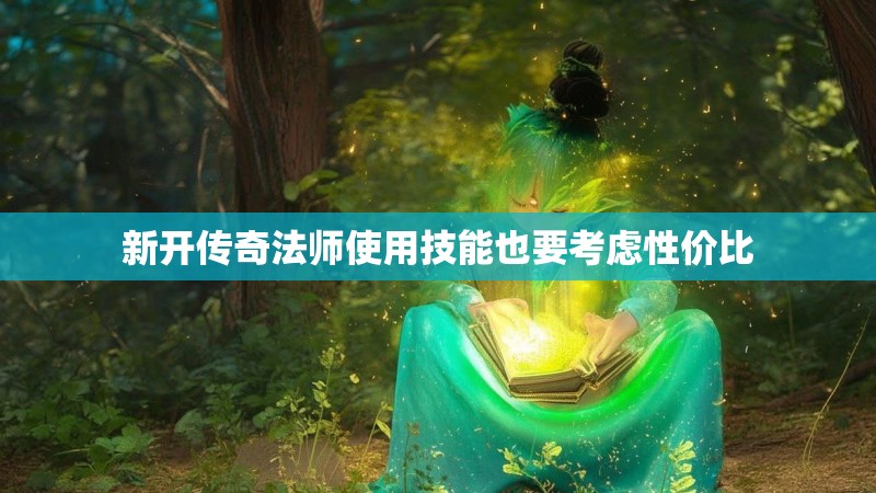 新开传奇法师使用技能也要考虑性价比