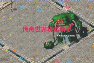 传奇世界攻略新手 传奇世界攻略新手