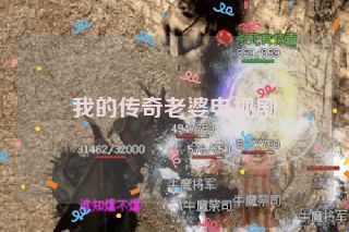 我的传奇老婆电视剧