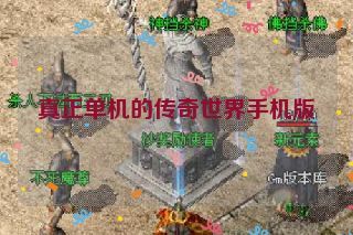 真正单机的传奇世界手机版