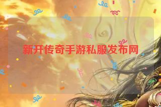 新开传奇手游私服发布网