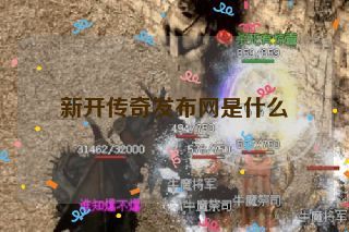 新开传奇发布网是什么 新开传奇发布网是什么