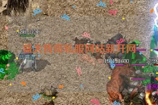 盛大传奇私服网站新开网