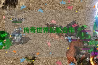 传奇世界私服合集