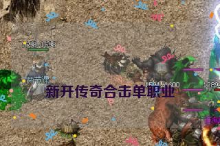  新开传奇合击单职业