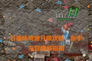  石墓阵烧猪升级攻略：新手友好爆装指南