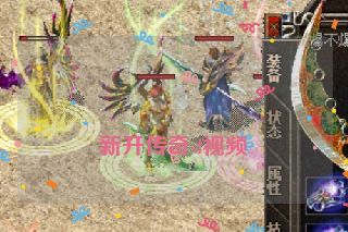  新开传奇sf视频