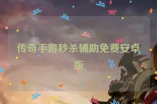 传奇手游秒杀辅助免费安卓版