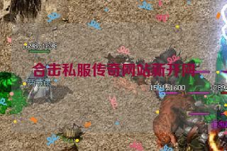 合击私服传奇网站新开网 合击私服传奇网站新开网