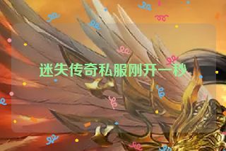 迷失传奇私服刚开一秒