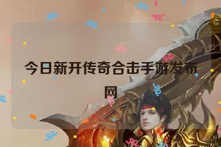 今日新开传奇合击手游发布网