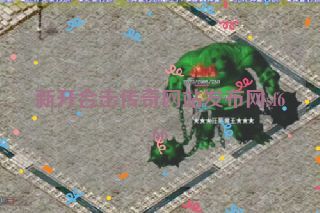 新开合击传奇网站发布网sf666