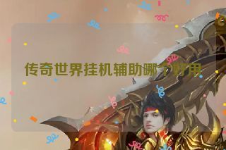 传奇世界挂机辅助哪个好用