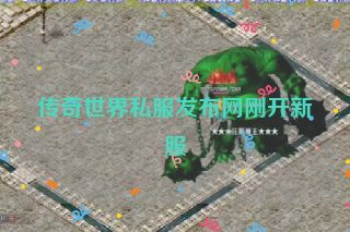 传奇世界私服发布网刚开新服