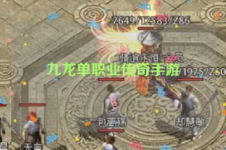 九龙单职业传奇手游 九龙单职业传奇手游