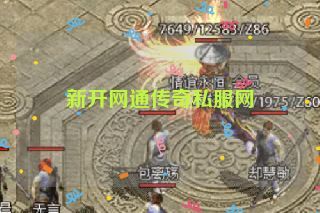 新开网通传奇私服网