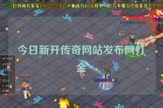 今日新开传奇网站发布网打金