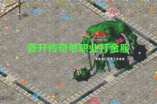 新开传奇单职业打金服 新开传奇单职业打金服