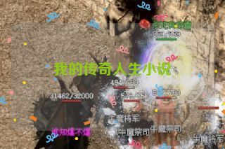 我的传奇人生小说