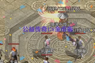 公益传奇176金币版 公益传奇176金币版
