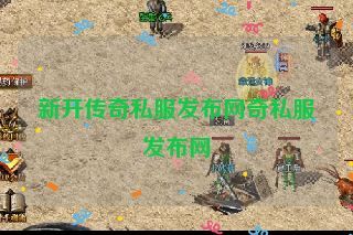 新开传奇私服发布网奇私服发布网