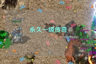 永久一级传奇