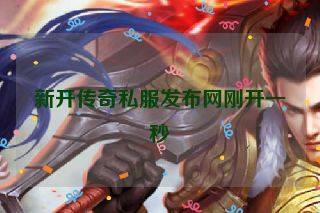 新开传奇私服发布网刚开一秒