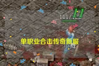  单职业合击传奇新服