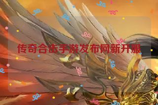 传奇合击手游发布网新开服 传奇合击手游发布网新开服