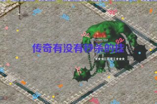 传奇有没有秒杀的挂 传奇有没有秒杀的挂