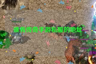 谁有传奇手游私服的地址 谁有传奇手游私服的地址