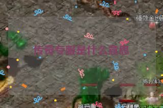 传奇专服是什么意思