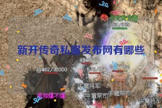 新开传奇私服发布网有哪些 新开传奇私服发布网有哪些