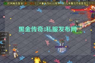 黑金传奇3私服发布网 黑金传奇3私服发布网
