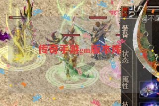 传奇手游gm版本库