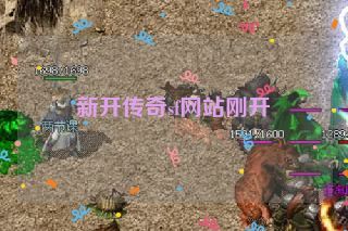 新开传奇sf网站刚开