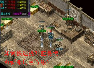 如何快速提升盛易传奇新服角色等级？