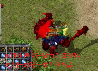 如何快速提升战力？征战玛法大陆的秘辛求大佬指点