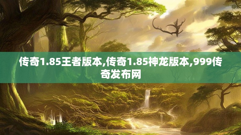 传奇1.85王者版本,传奇1.85神龙版本,999传奇发布网