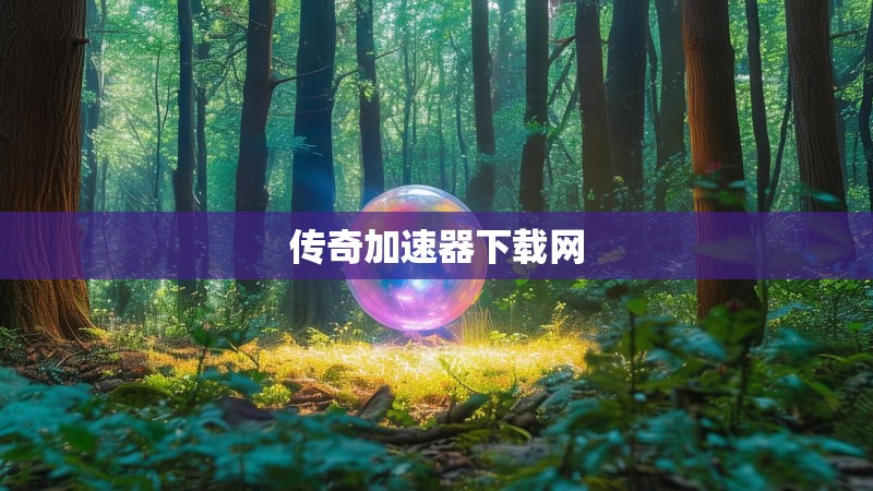 传奇加速器下载网