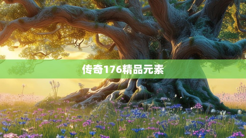传奇176精品元素