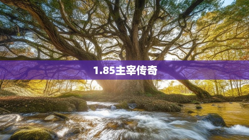 1.85主宰传奇